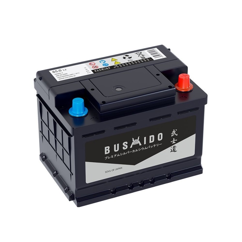 9b4195ac-1dc5-11ef-9c44-005056893be9-1